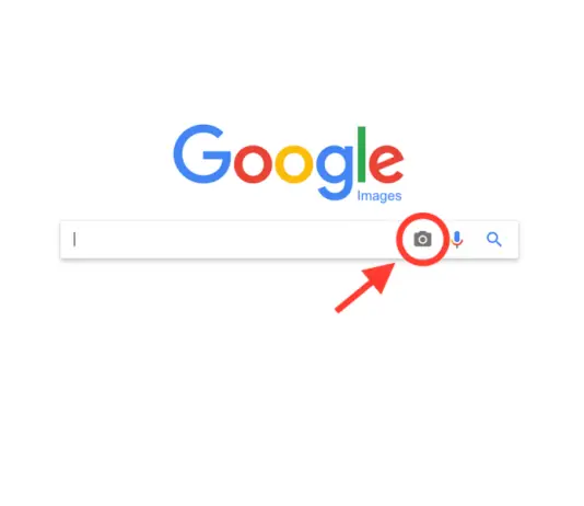 Recherche inversée d’images sur Google : comment faire? recherche image inversée
