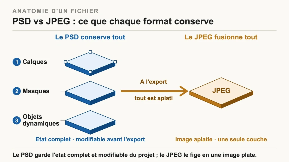 Comparaison visuelle entre un fichier PSD avec calques et un fichier JPEG aplati