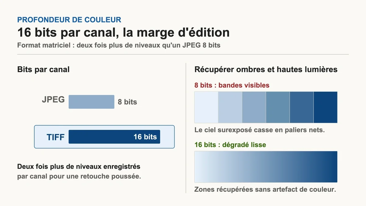 Exemple d'édition d'image TIFF montrant des détails fins sans bande de couleur