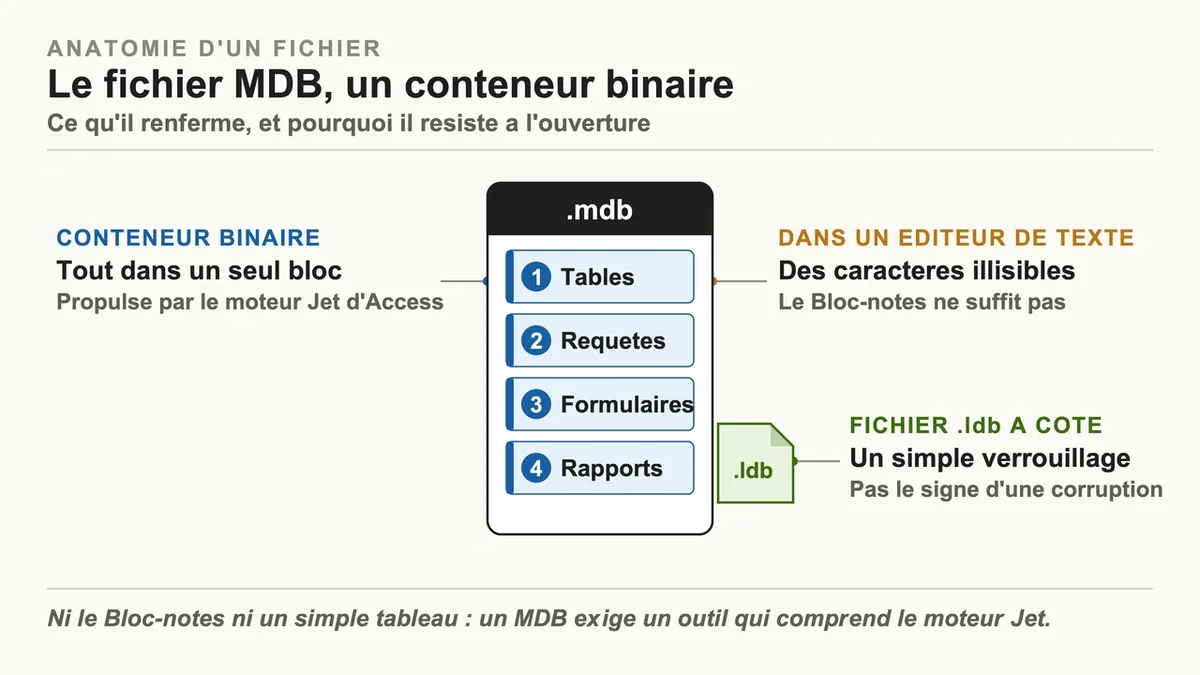 Fichier MDB ouvert dans Microsoft Access affichant des tables et requêtes de données