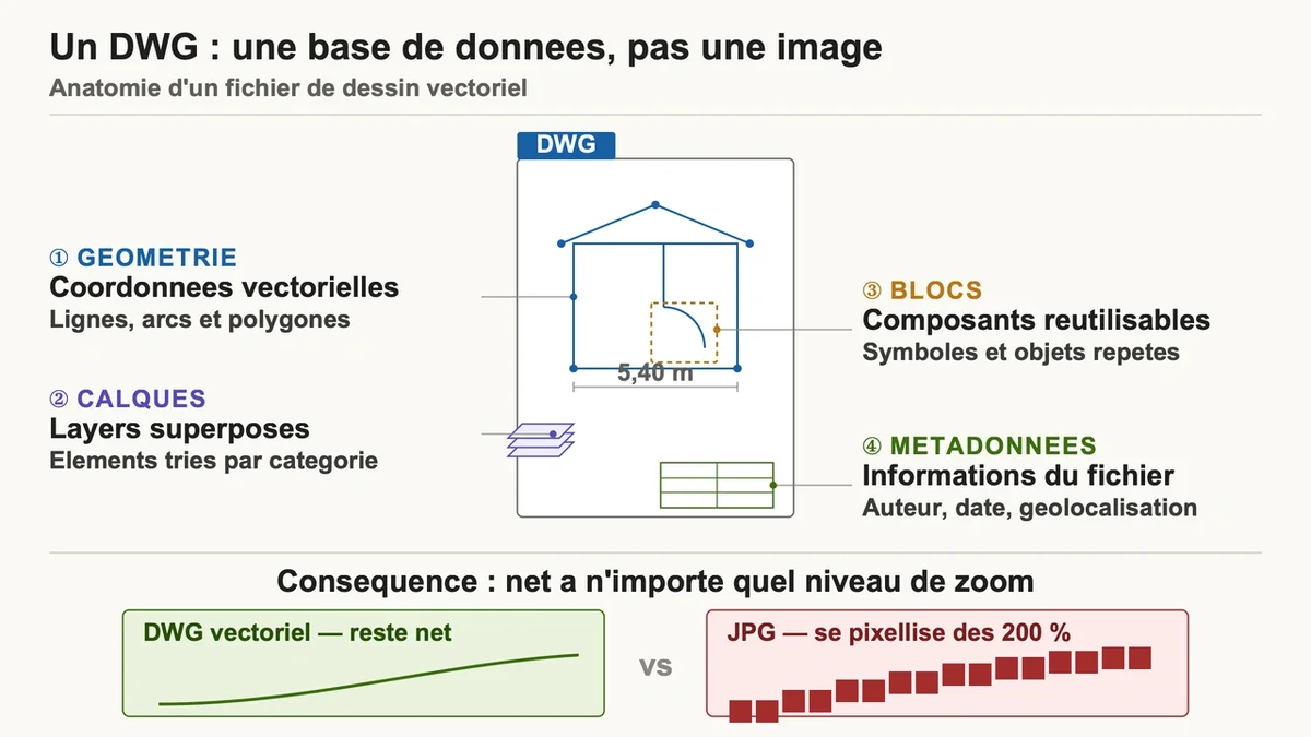 Illustration d'un fichier DWG affichant des dessins vectoriels de lignes et polygones