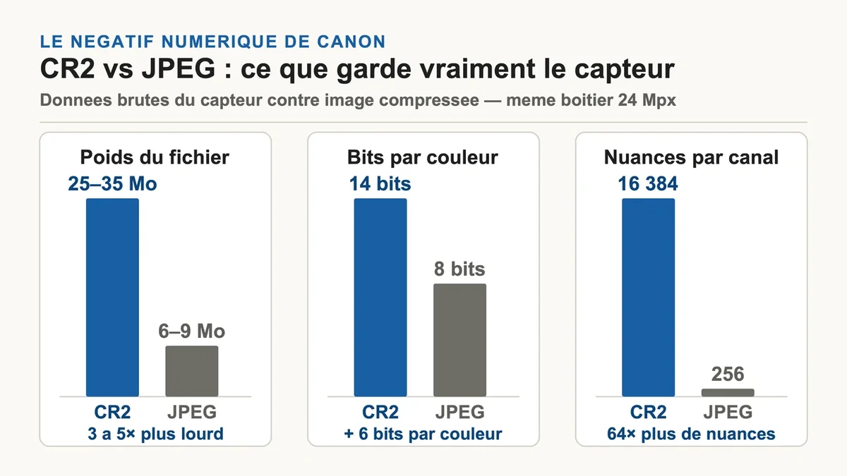 Comparaison entre un fichier CR2 brut et une image JPEG pour le traitement des photos