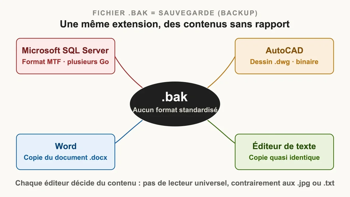 Exemple de fichier .bak ouvert sur un ordinateur, montrant le contenu d'une sauvegarde de données