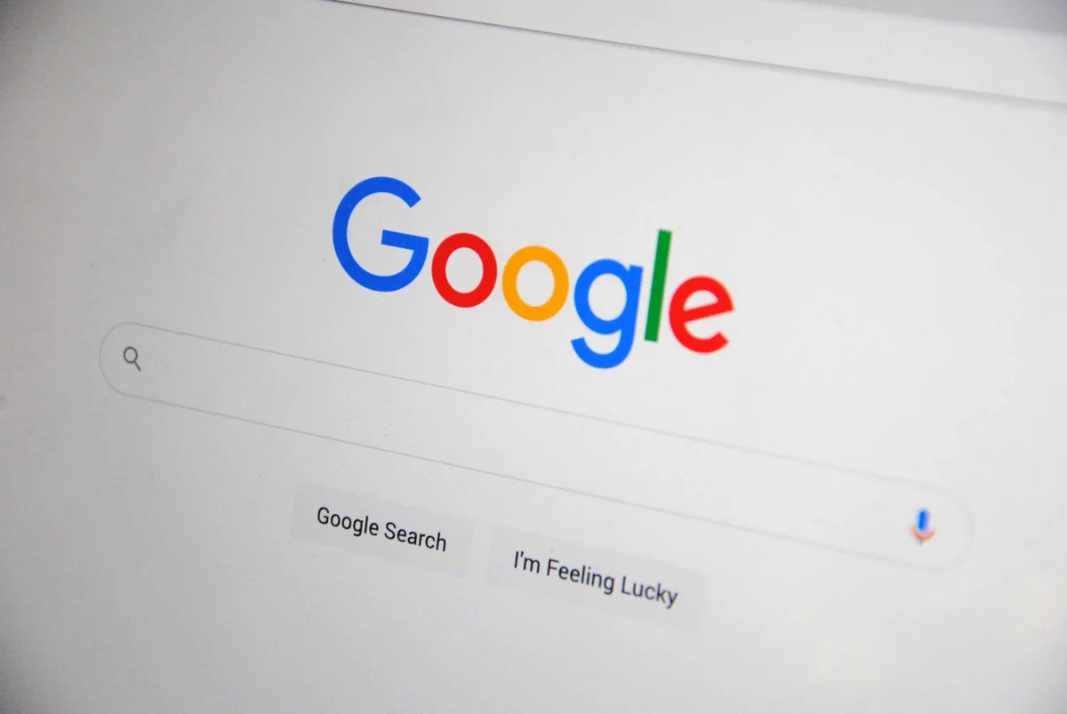 Interface d'un moteur de recherche d'images avec résultats affichés