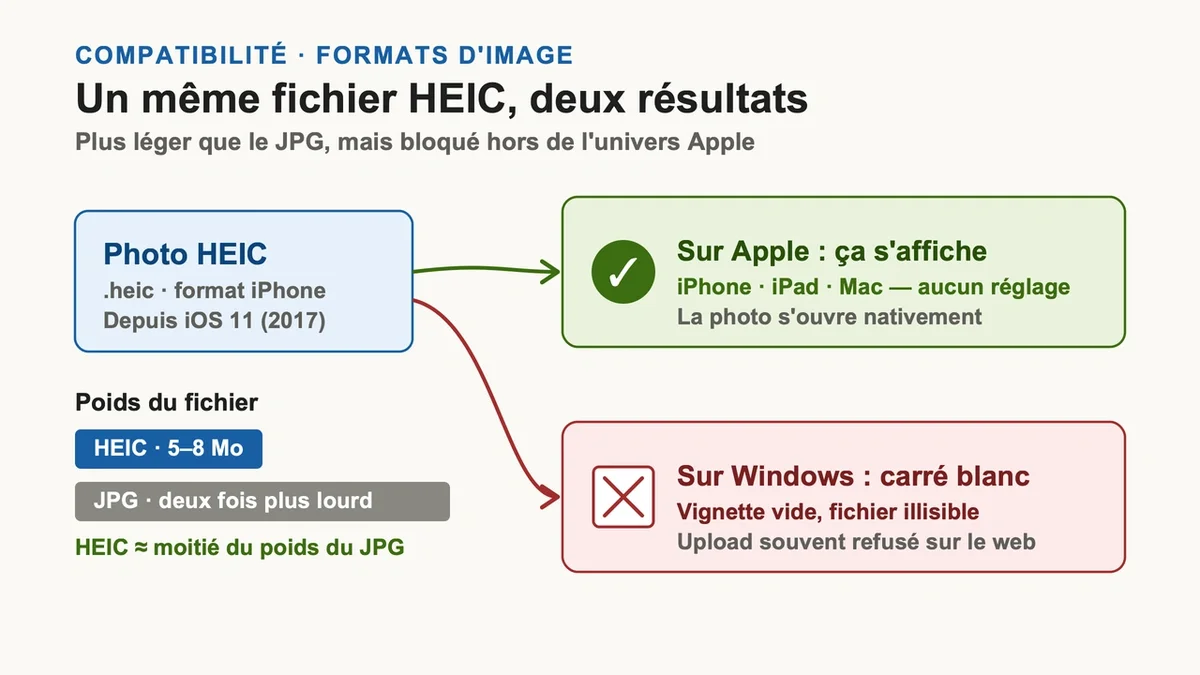 Comparer les formats HEIC et JPG sur des écrans d'ordinateurs Windows