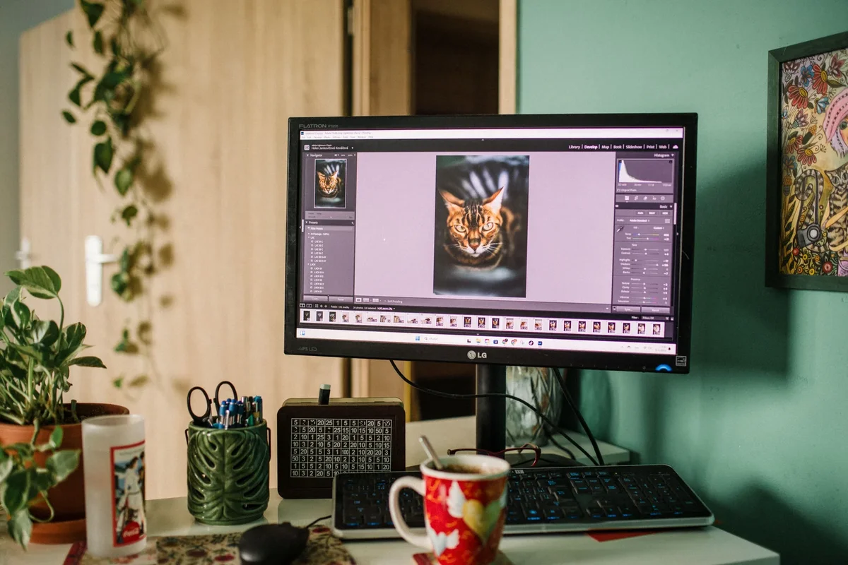 Erreur d'écran sur un ordinateur utilisant un logiciel de retouche photo