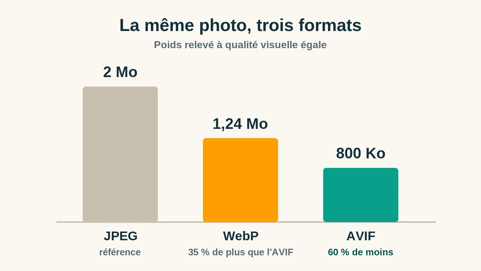 Comparaison du poids d'une même photo en JPEG, WebP et AVIF